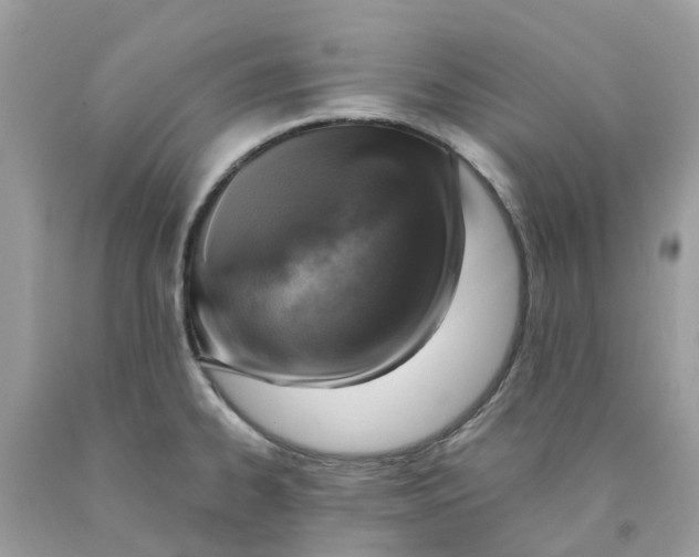 X0000089831334200707262016