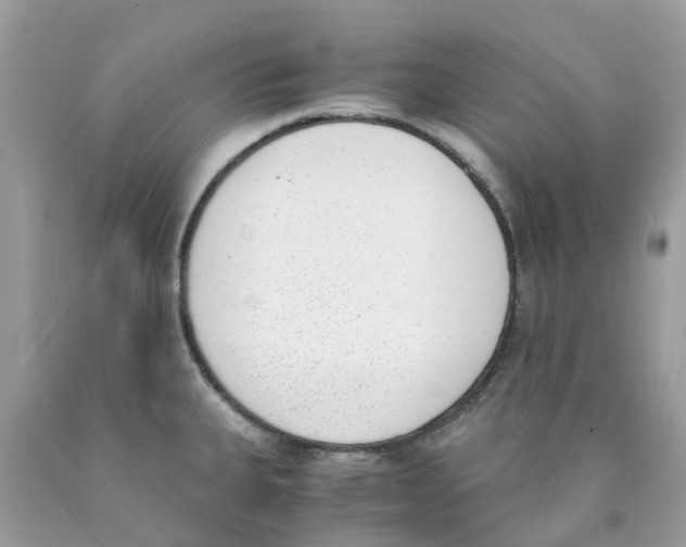 X0000089831335200707262016