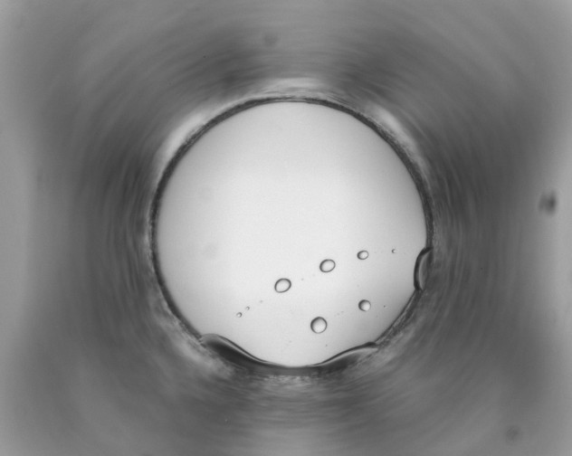 X0000089831336200707262016