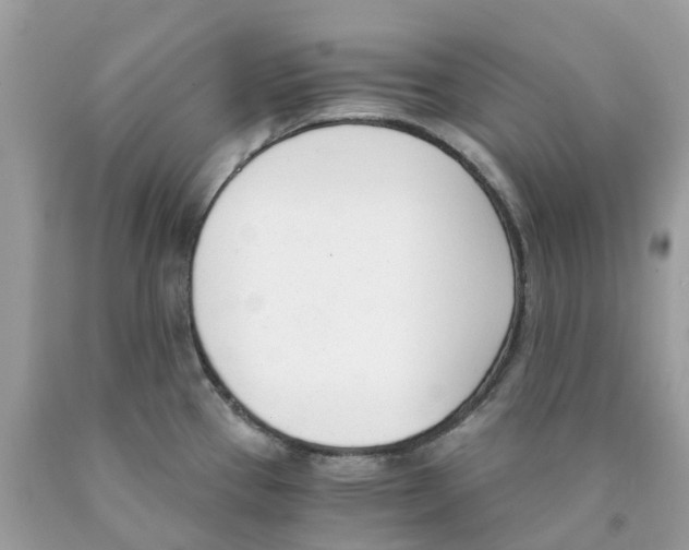 X0000089831337200707262016