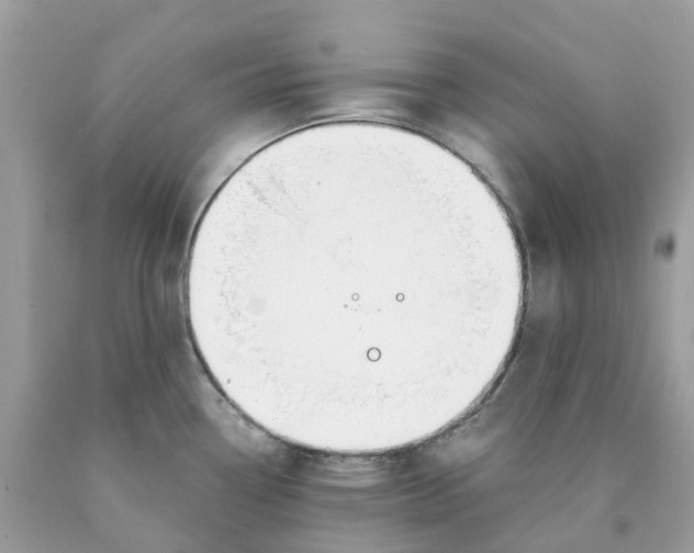 X0000089831338200707262016