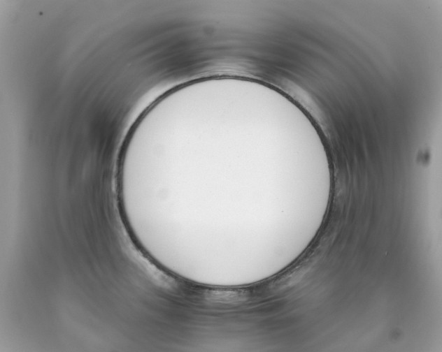 X0000089831339200707262016