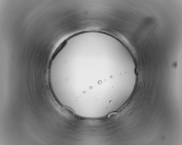 X0000089831340200707262016