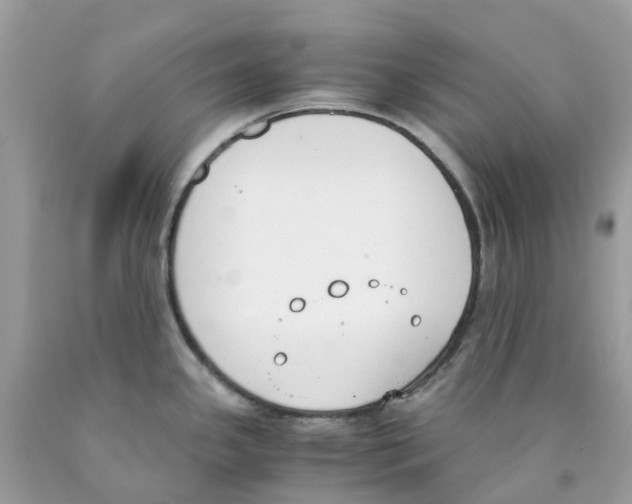 X0000089831341200707262016