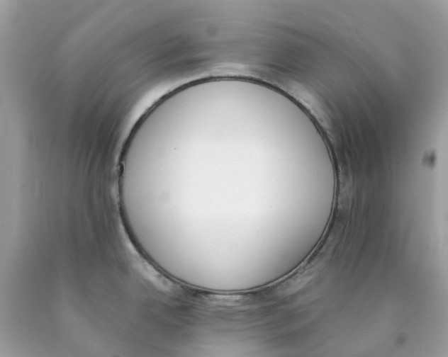X0000089831342200707262016