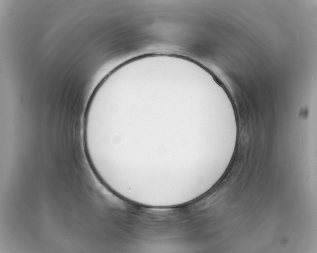 X0000089831343200707262016