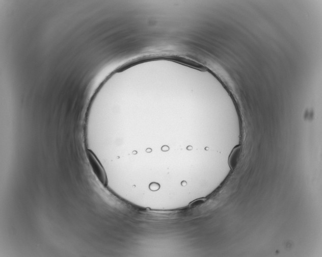 X0000089831344200707262016