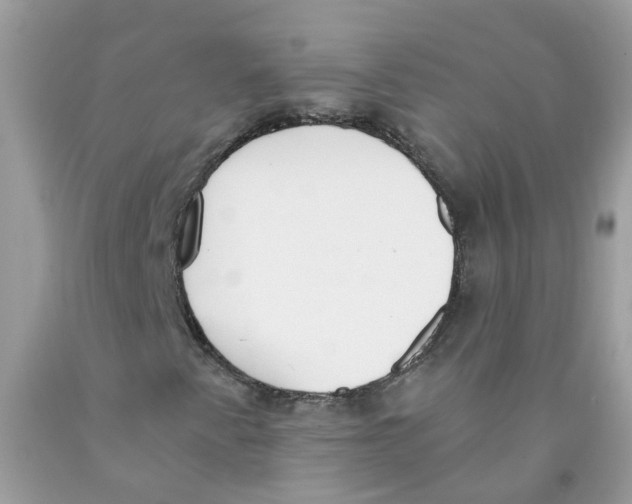 X0000089831345200707262015