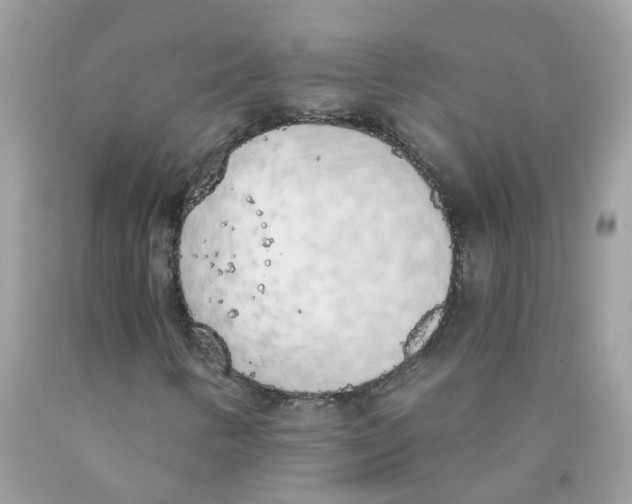 X0000089831346200707262015