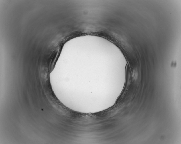 X0000089831348200707262015