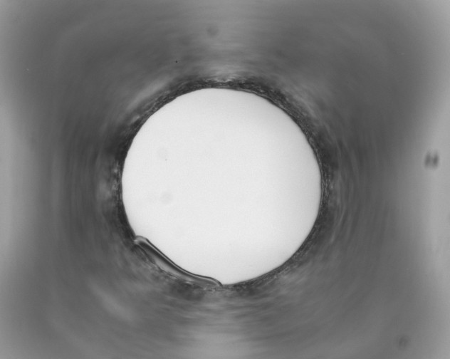 X0000089831349200707262015