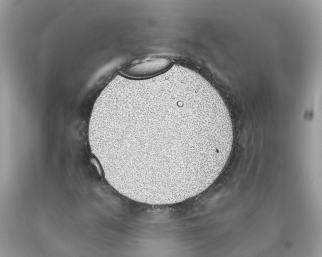 X0000089831351200707262015