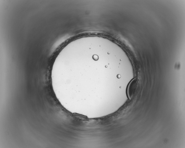X0000089831352200707262015