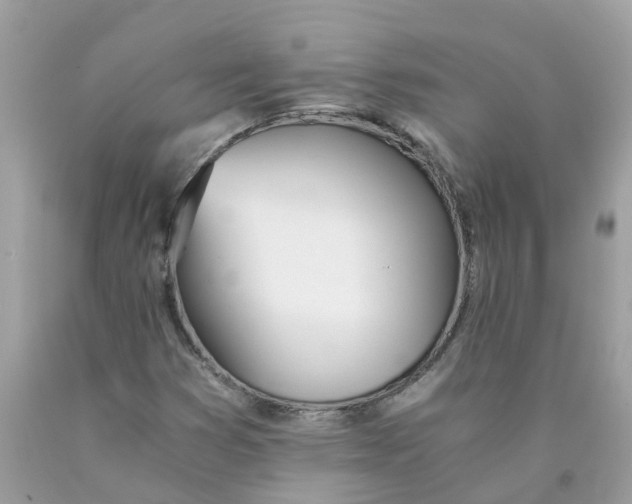 X0000089831353200707262015