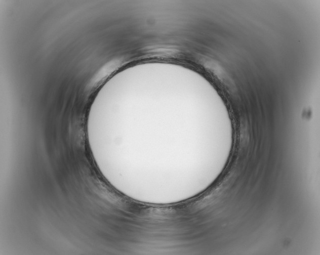 X0000089831354200707262015