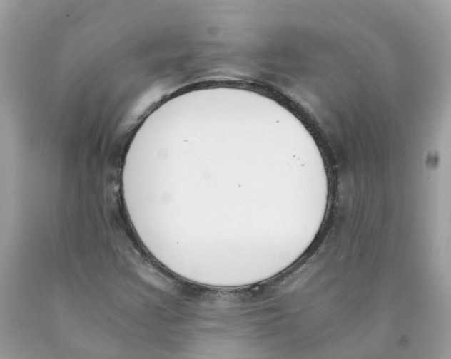 X0000089831355200707262015