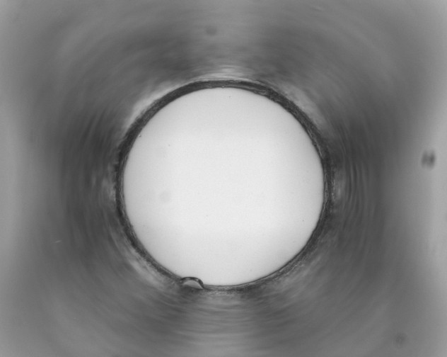 X0000089831356200707262015