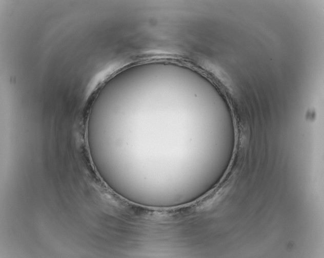 X0000089831357200707262015