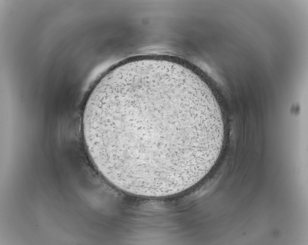 X0000089831358200707262015
