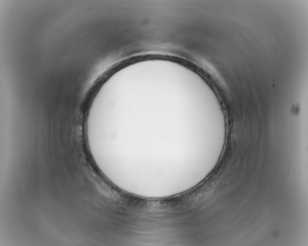 X0000089831360200707262015