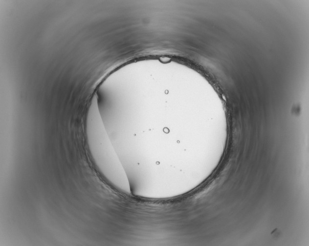X0000089831361200707262015