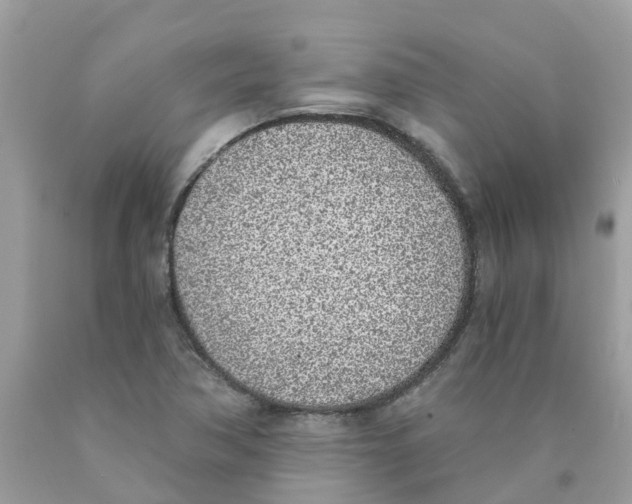 X0000089831362200707262015