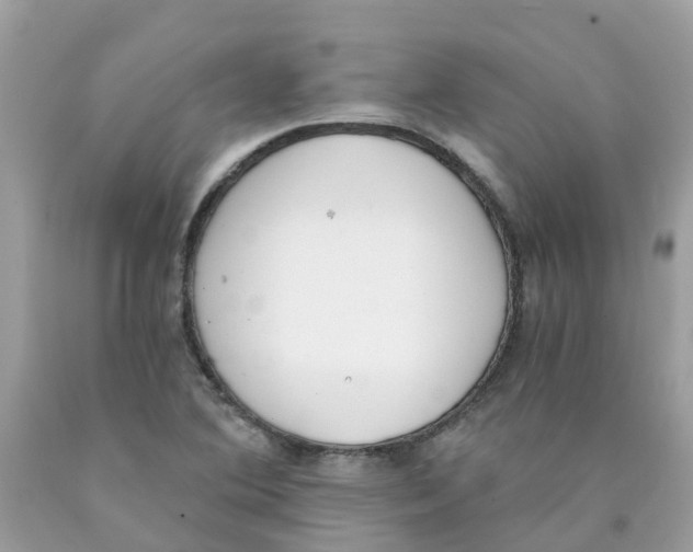 X0000089831364200707262015