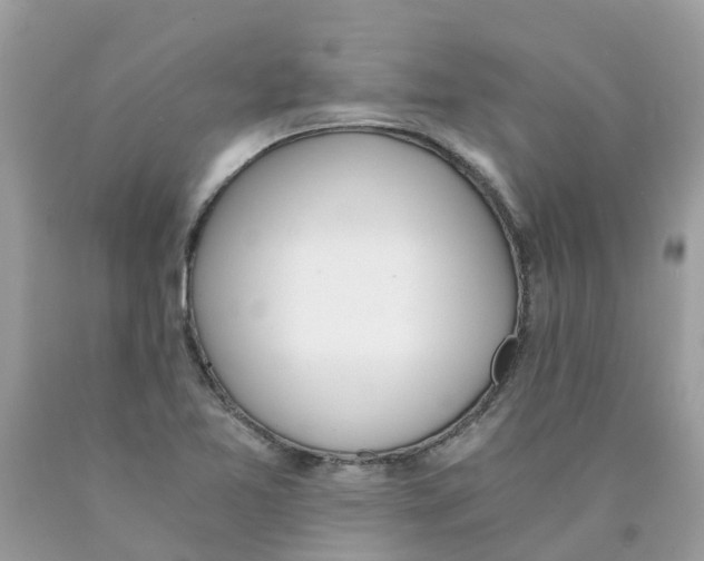 X0000089831365200707262015