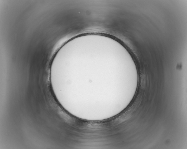 X0000089831366200707262015