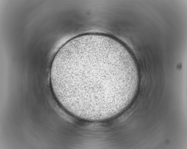 X0000089831367200707262015