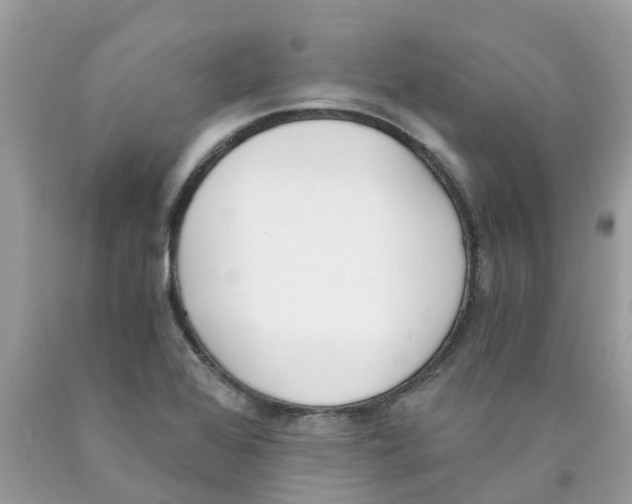 X0000089831368200707262015