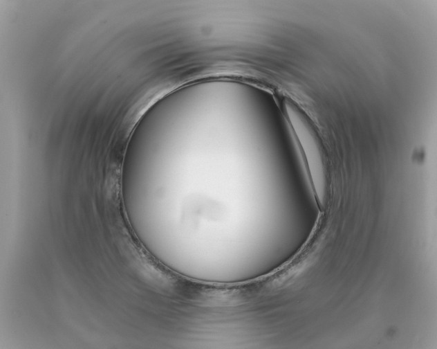 X0000089831369200707262015