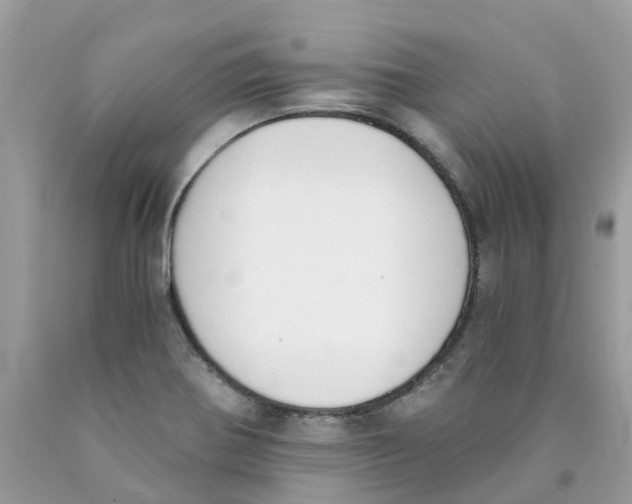 X0000089831370200707262015