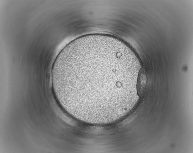 X0000089831371200707262015