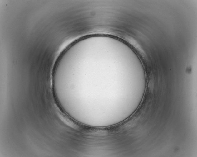 X0000089831372200707262015