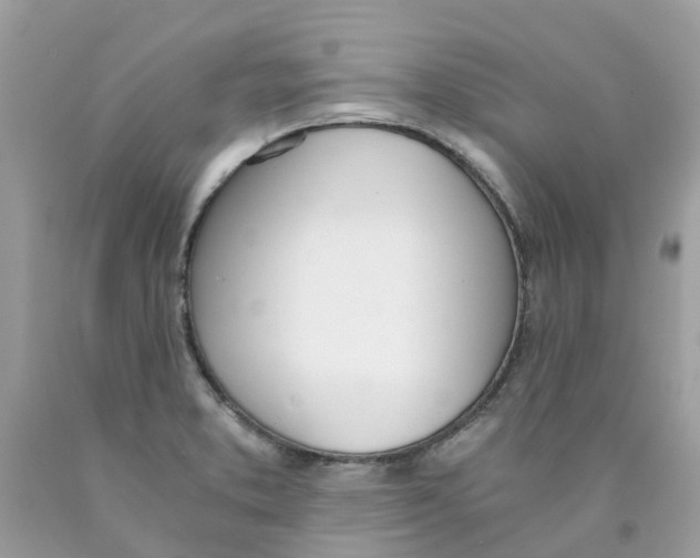 X0000089831373200707262015