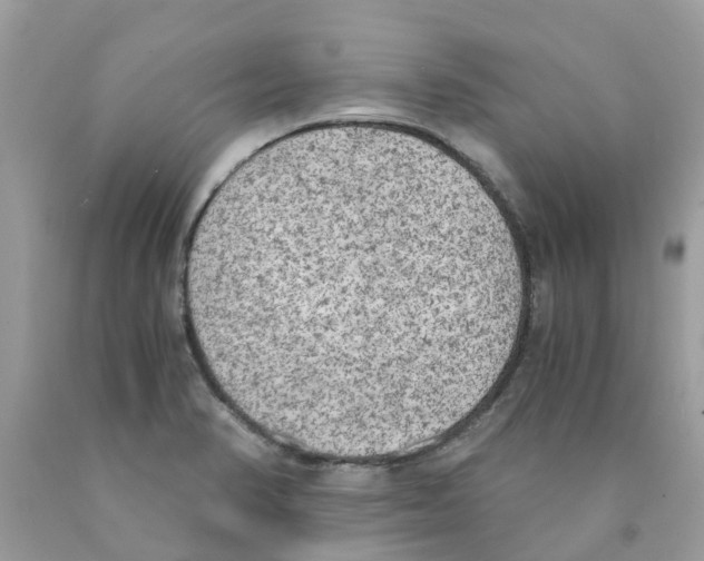 X0000089831374200707262015