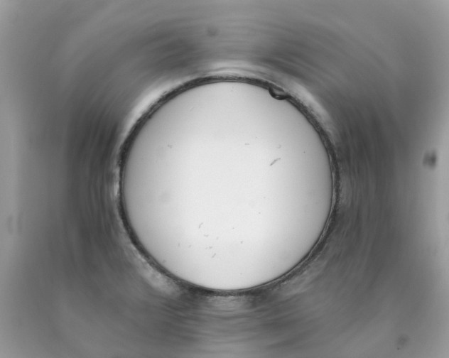 X0000089831376200707262015