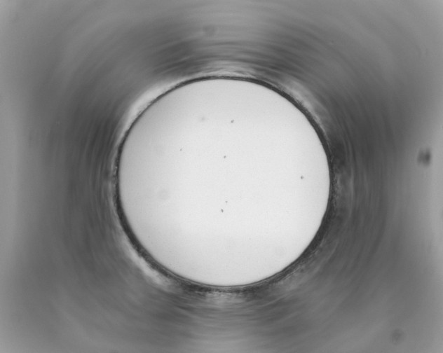 X0000089831379200707262015