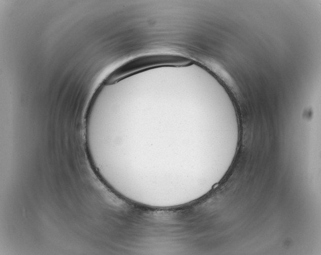 X0000089831380200707262015