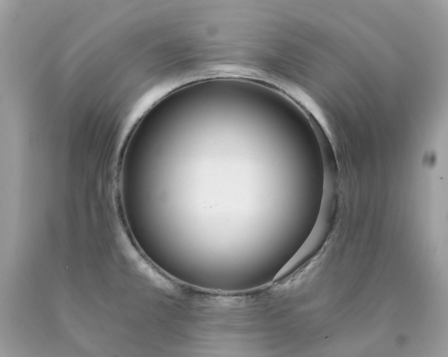 X0000089831381200707262015