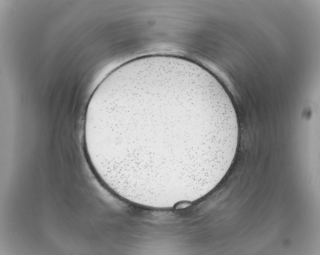 X0000089831383200707262015