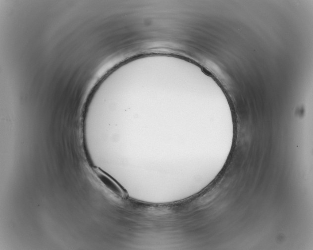 X0000089831384200707262015