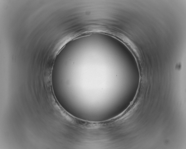 X0000089831385200707262015