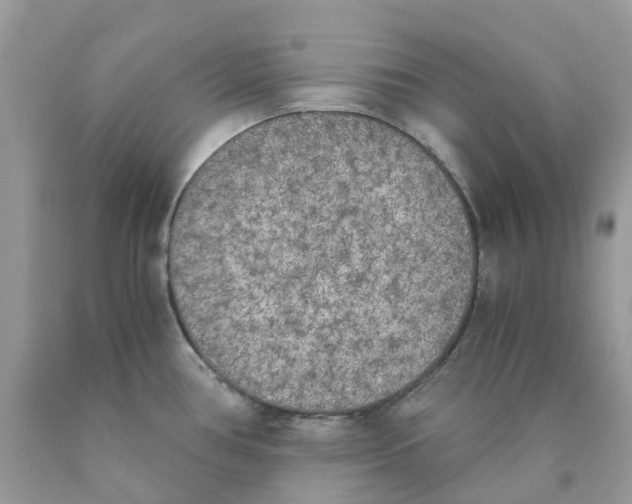 X0000089831386200707262015