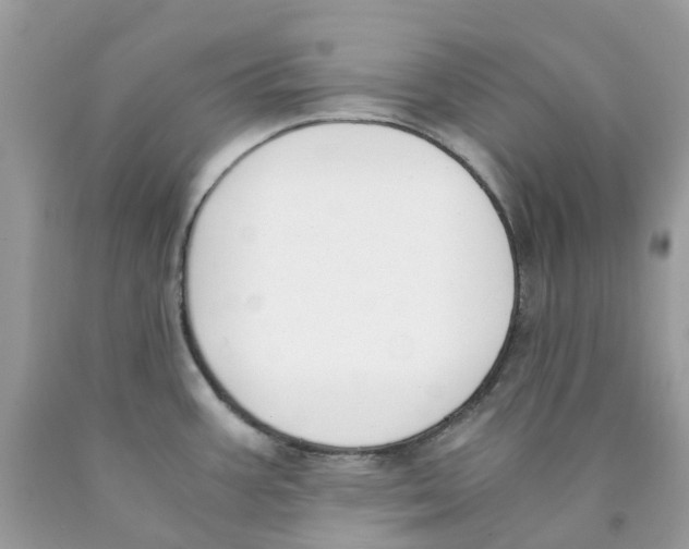 X0000089831387200707262015