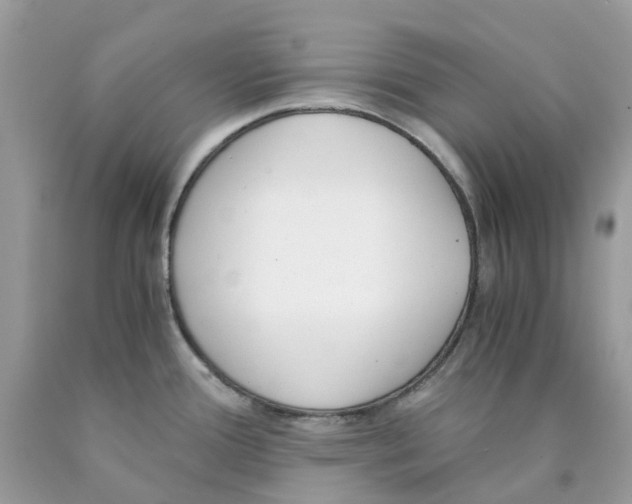X0000089831388200707262015