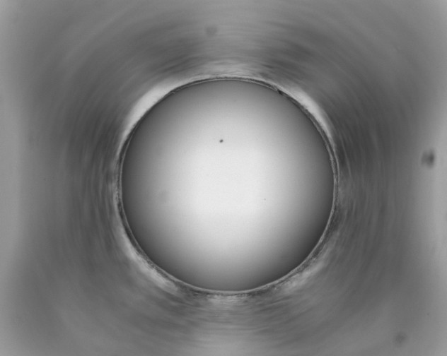 X0000089831389200707262015