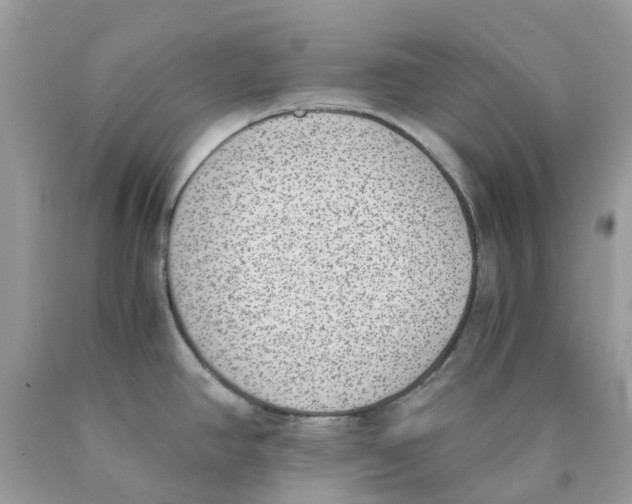 X0000089831390200707262015