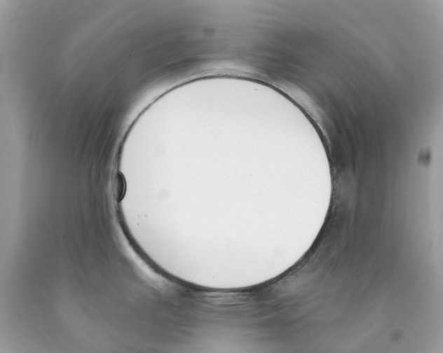 X0000089831391200707262014